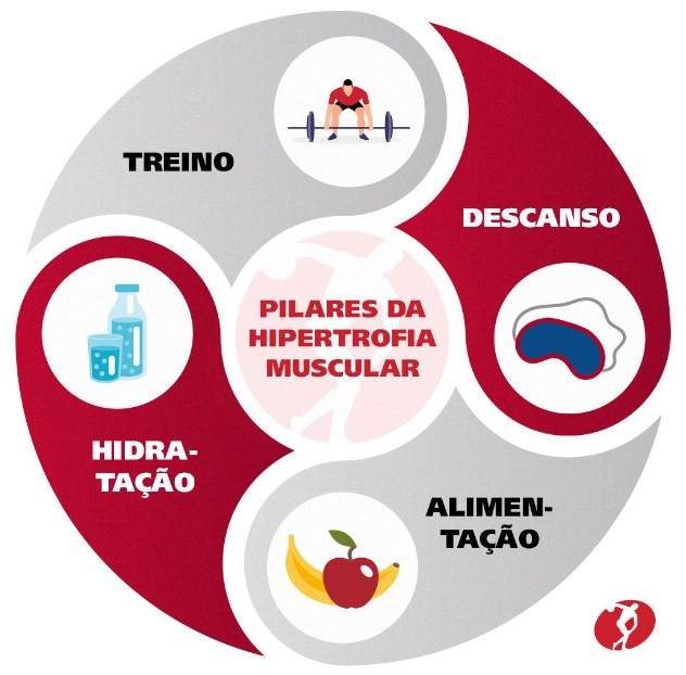 Pilares da hipertrofia muscular Treino Descanso Hidratação Alimentação
