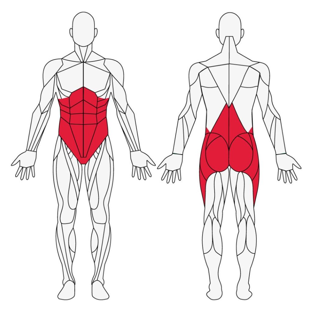 musculos do core - visão geral