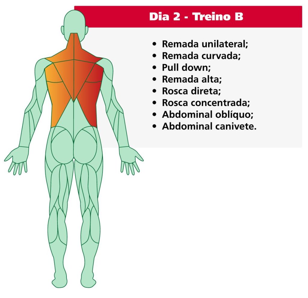 Esquema muscular do treino- ABC- peito - ombros -  tríceps