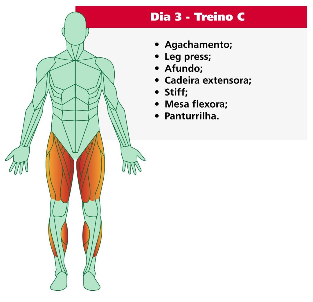 Esquema muscular do treino ABC - pernas